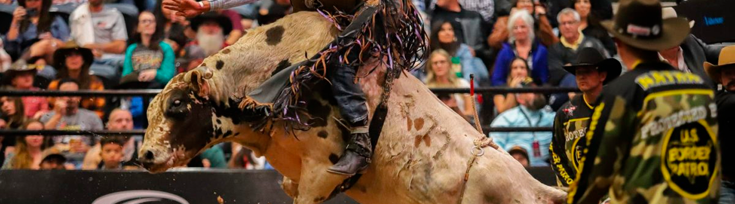 Professional Bull Riders